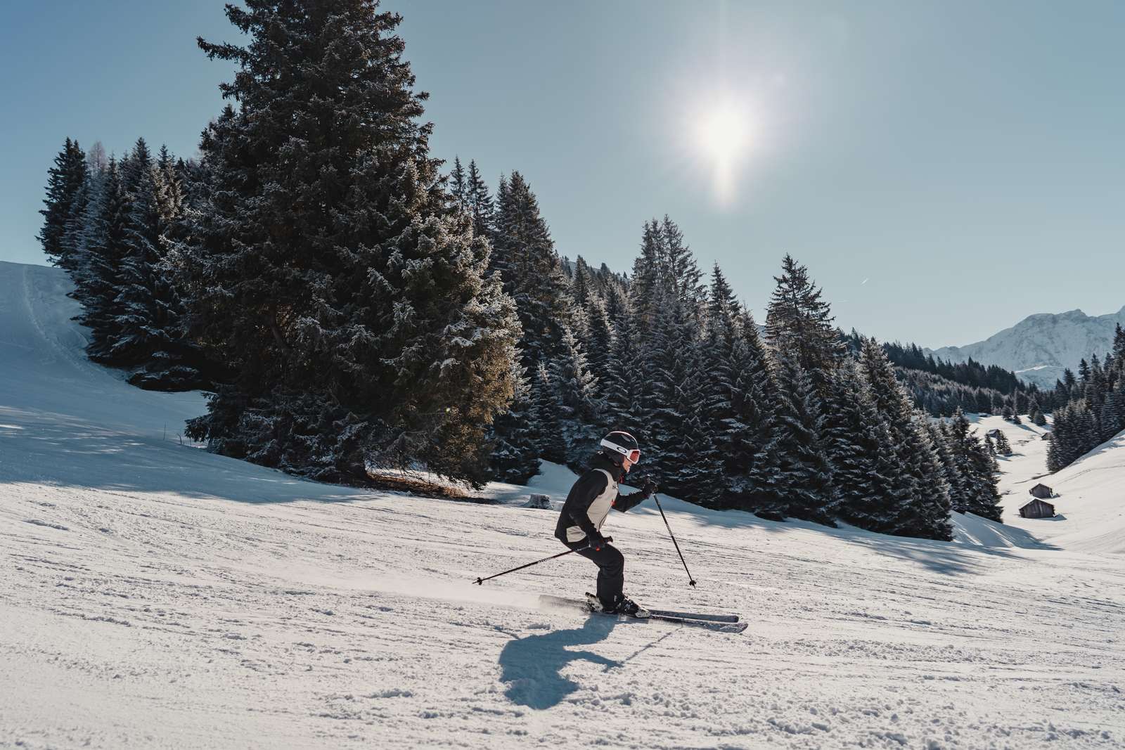 Skiing placeholder